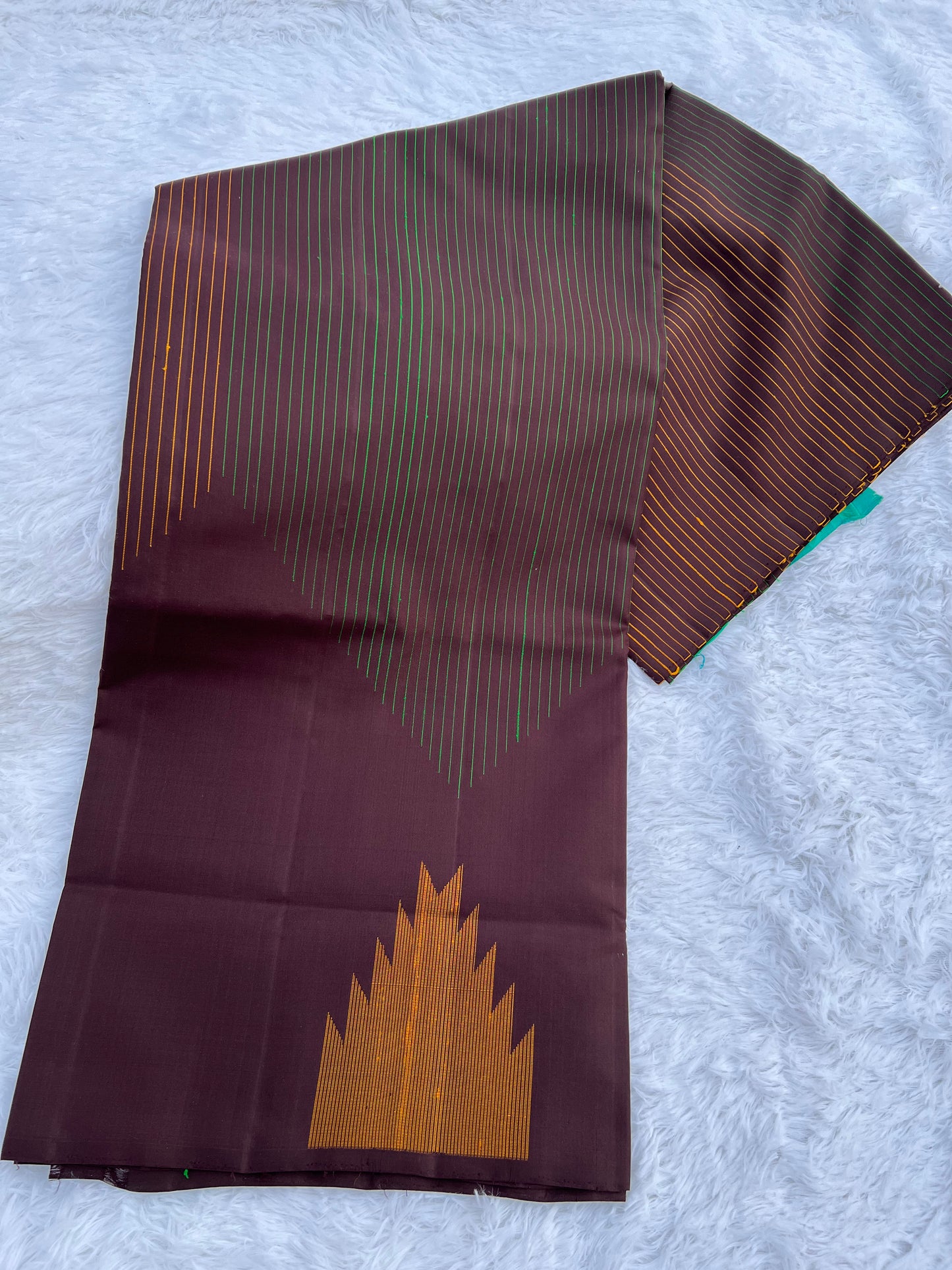 Brunette Silk Saree
